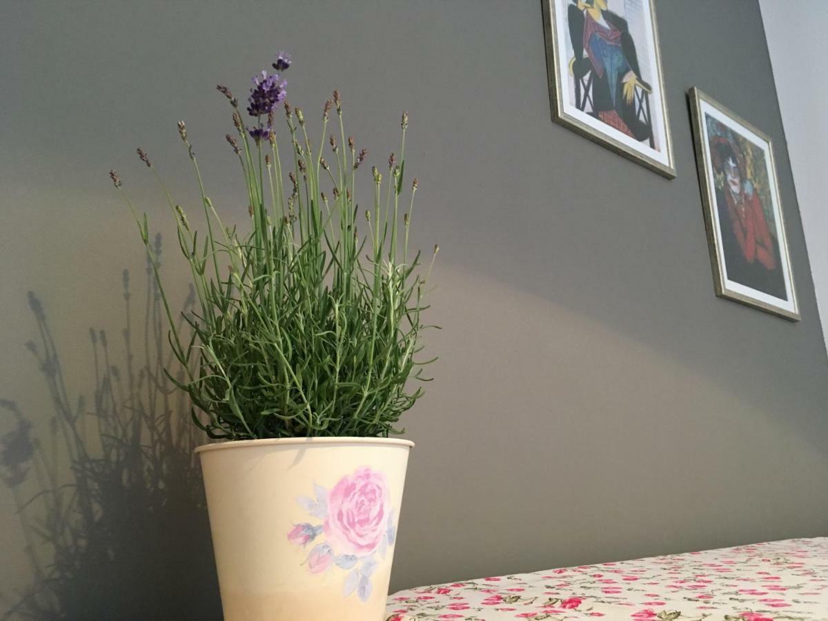 Apartment Neda Split Bagian luar foto